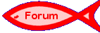 Forum KKI